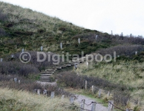 Uwe-Düne auf Sylt